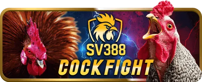 Sử dụng dữ liệu có trách nhiệm tại bk88 app